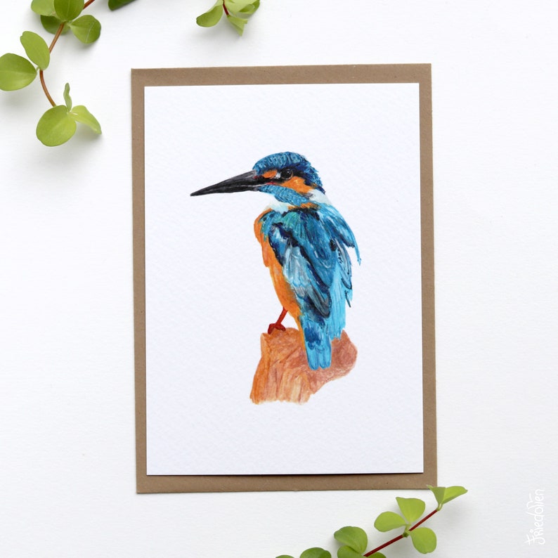 Card kingfisher illustration greeting card birthday bird image 2