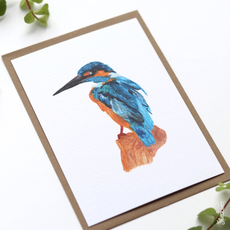 Card kingfisher illustration greeting card birthday bird image 3