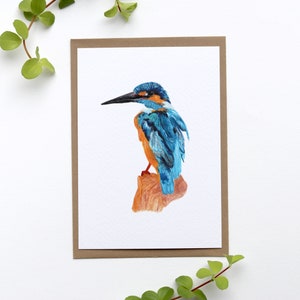 Card kingfisher illustration greeting card birthday bird image 1