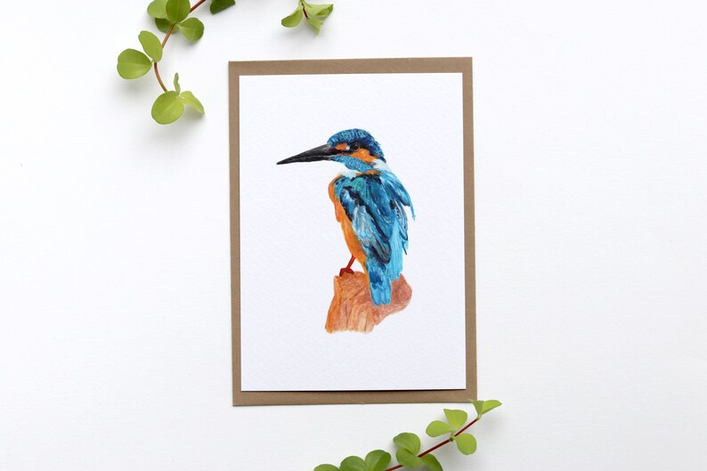 Card kingfisher illustration greeting card birthday bird image 1