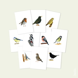 Kaartenset vogels: tien tuinvogels