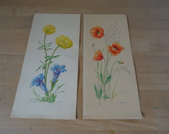 2 Aquarelle 1 x mit Mohnblüten. 1 x mit Hahnenfuß mit Enzian. Handsigniert. 30 x 14 cm
