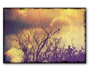 Dark art photography, crow photography, surreal nature, country wall décor