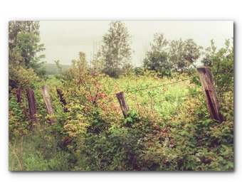 Countryside photography, rural wall art, gift for a cottage, green and yellow landscape