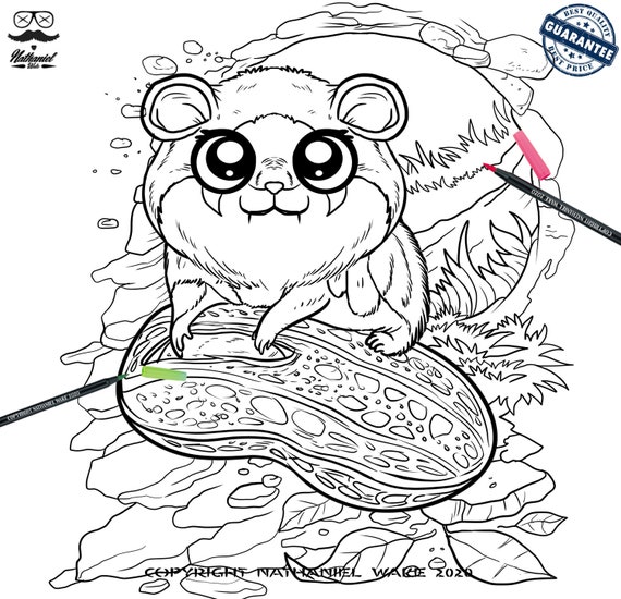 5 Chibi Cute Pet Teenager Coloring Pages Cute Chibi Animal | Etsy