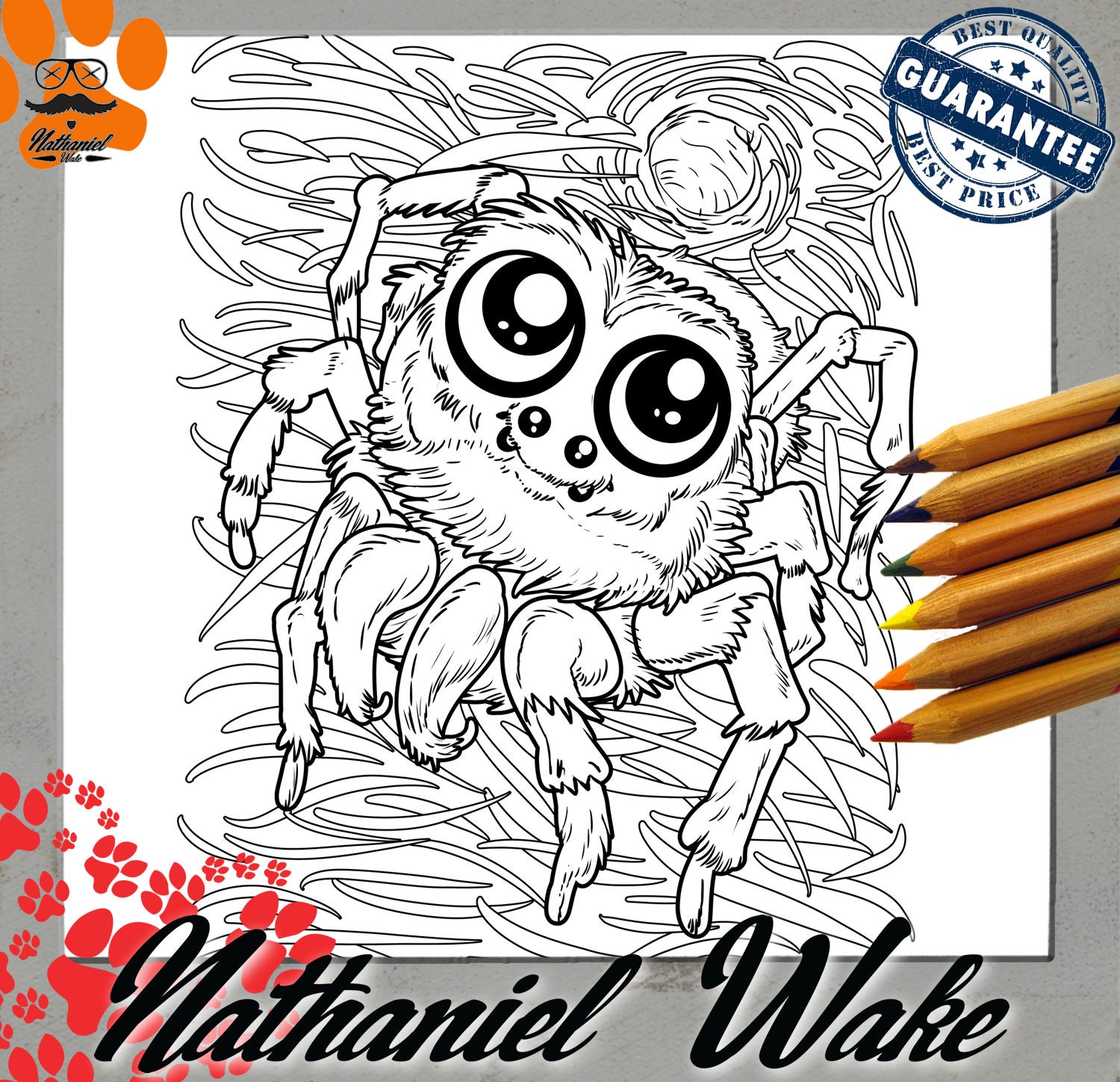 Incy Wincy Spider Colouring Pages