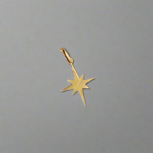 May include: A gold-colored starburst charm pendant with a loop for attaching to a necklace or bracelet.