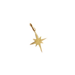 May include: A gold-toned star-shaped pendant charm with a loop for attaching to a necklace or bracelet.