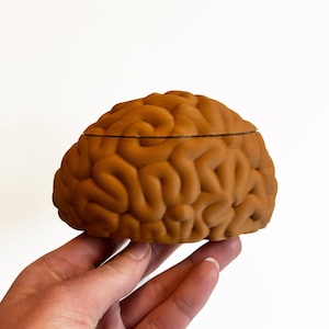 Brain Storage Box, 3d Printed Brain Jewelry Box, Brain Stash Box, Brain Small Keepsake Box