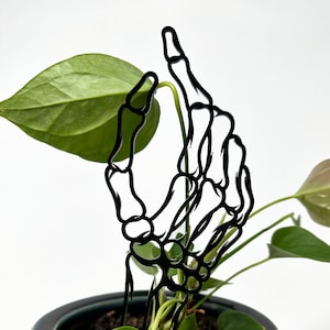 Skeleton Hand Acrylic Plant Support/Trellis, Anatomy Plant Support, Plant Decoration, Plant Trellis, Potted Plants, Plant Art