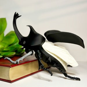 Puede incluir: Una figura de escarabajo negro y blanco con un gran cuerno y alas. El escarabajo está posado sobre un libro rojo con una encuadernación dorada.