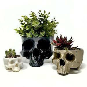 May include: Three skull-shaped planters, one black, one gold, and one white, with various plants growing inside.