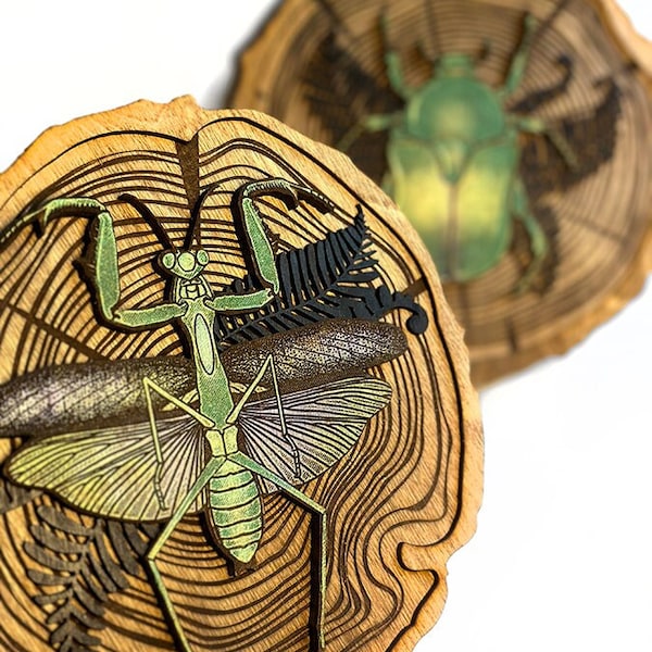 Wooden Praying Mantis - Etsy