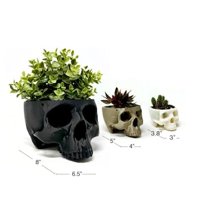 May include: Three black, white, and beige skull-shaped planters with different sizes. The largest planter is 8 inches wide and 6.5 inches long. The middle planter is 5 inches wide and 4 inches long. The smallest planter is 3.8 inches wide and 3 inches long.