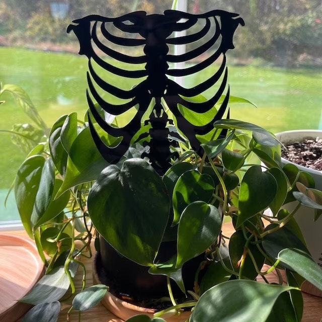 Diy String Rib Cage Rib Cage Acrylic Plant Trellis: Anatomy Plant Support - Etsy