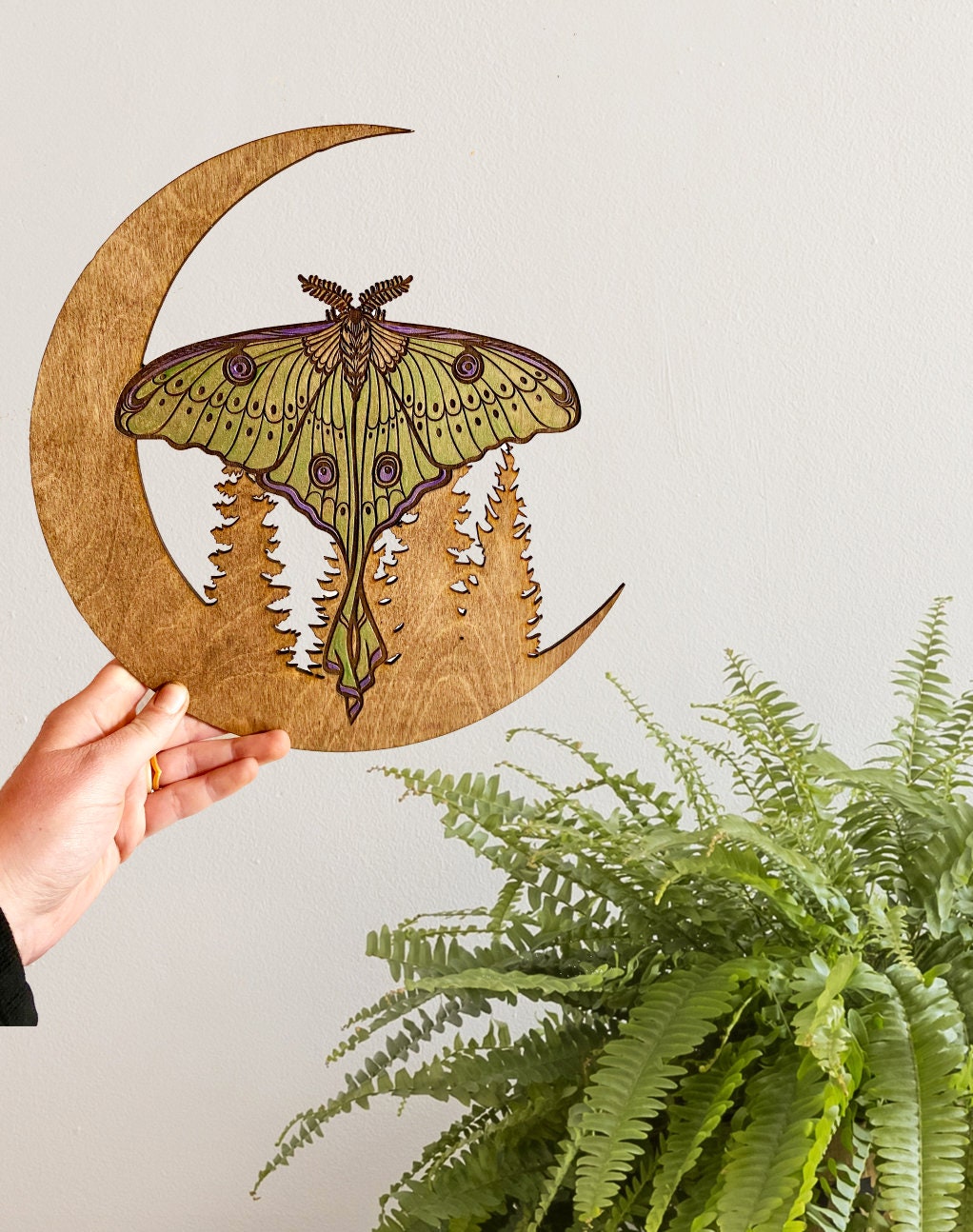 Luna Moth Wall Hanging Moon Wall Art Luna Moth Home Decor - Etsy Canada