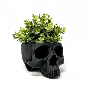 May include: A black skull planter with a green plant growing out of the top.