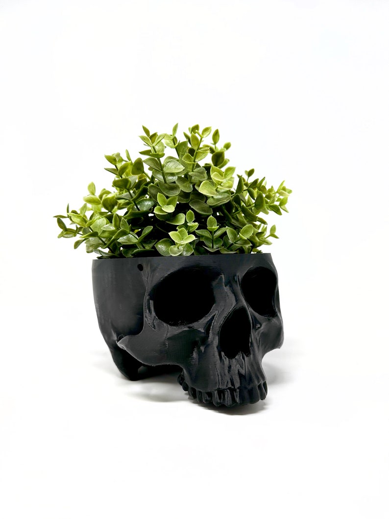 May include: A black skull planter with a green plant growing out of the top.
