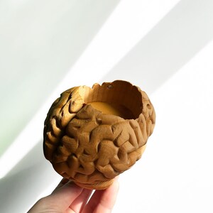 May include: A brown ceramic brain-shaped planter with a textured surface. The planter is empty and ready for a plant.