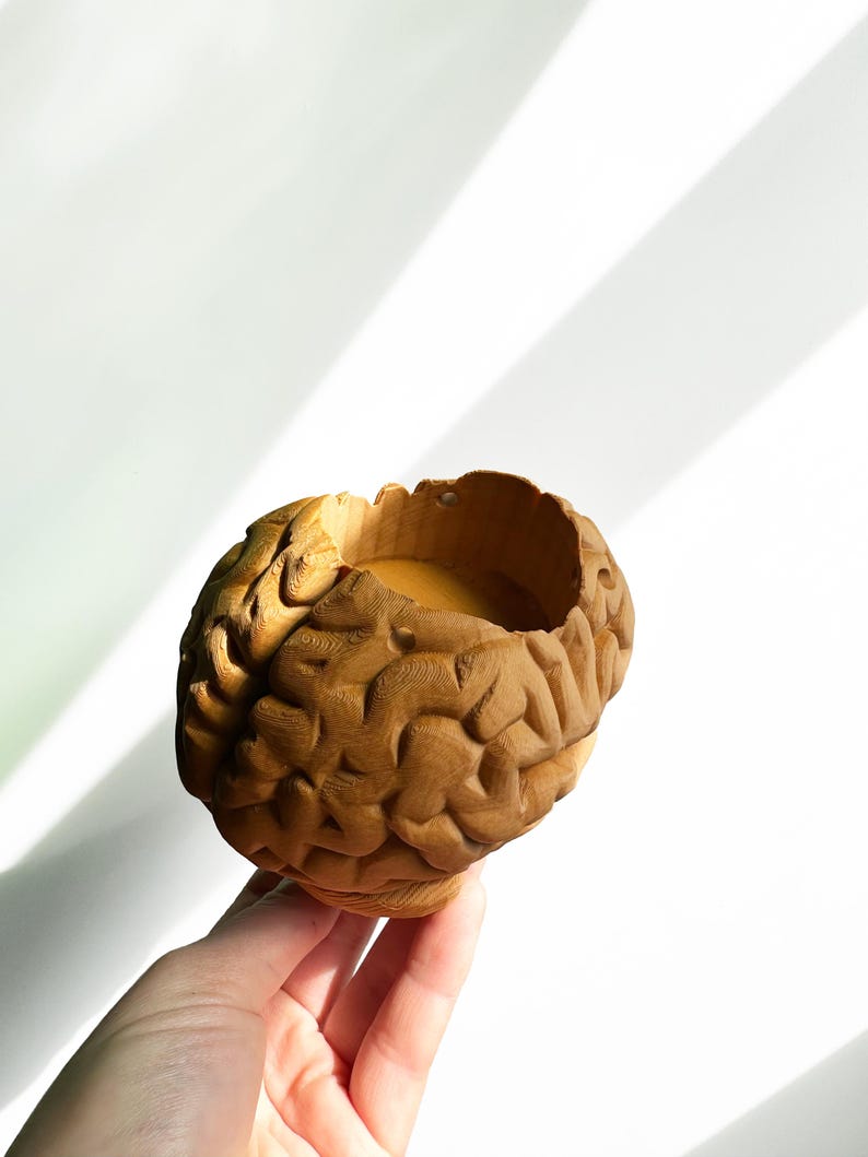 May include: A brown ceramic brain-shaped planter with a textured surface. The planter is empty and ready for a plant.