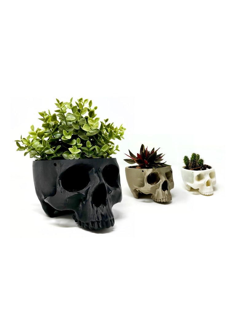 May include: Three skull-shaped planters in black, brown, and white, each with a different type of succulent plant growing inside.