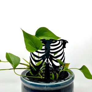 Rib Cage Acrylic Plant Support/Trellis, Anatomy Plant Support, Plant Decoration, Plant Trellis, Potted Plants, Plant Art