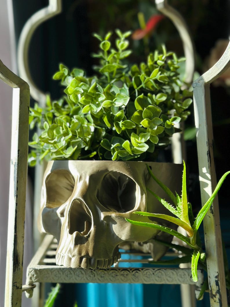 May include: A green leafy plant growing in a skull-shaped planter. The planter is made of a light brown material and has a detailed skull design. The plant is sitting on a white metal shelf.