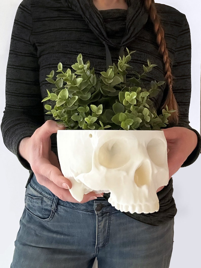 May include: A white ceramic skull planter with a green plant growing out of the top. The skull is a realistic depiction of a human skull with teeth and eye sockets.