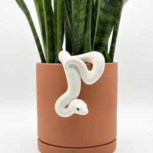 May include: A terracotta-coloured ceramic planter with a white snake sculpture wrapped around it. The planter holds a tall, green snake plant. The snake sculpture has a detailed head and scales.