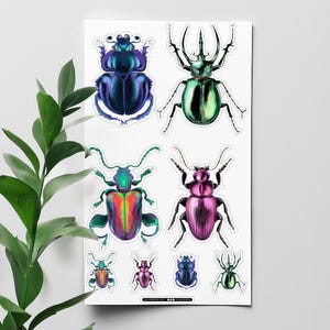 Beetle Sticker Sheet 4&quot;x7&quot;, Insect Stickers, Decorative Decals, Vinyl Decals, Waterproof Stickers