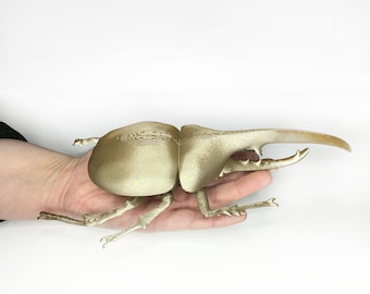 3D Printed Hercules Beetle Wall Hanging: Insect Decor