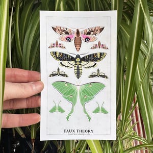 Night Moths Sticker Sheet: Waterproof Vinyl Decals (4"x7")