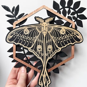 Luna Moth and Ferns, Stained Black Moth Wall Hanging, Wooden Insect Home Decor, Insect Art