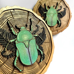 Scarab Beetle Wood Slice, Hand Painted Bug Wall Hanging, Wooden Insect Home Decor, Insect Art, Beetle