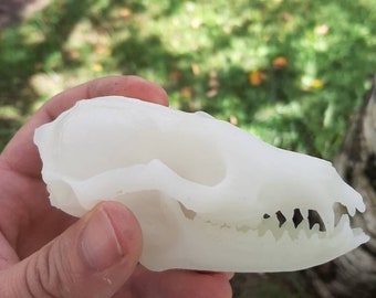 High detail resin printed fox skull(free shipping in the US)