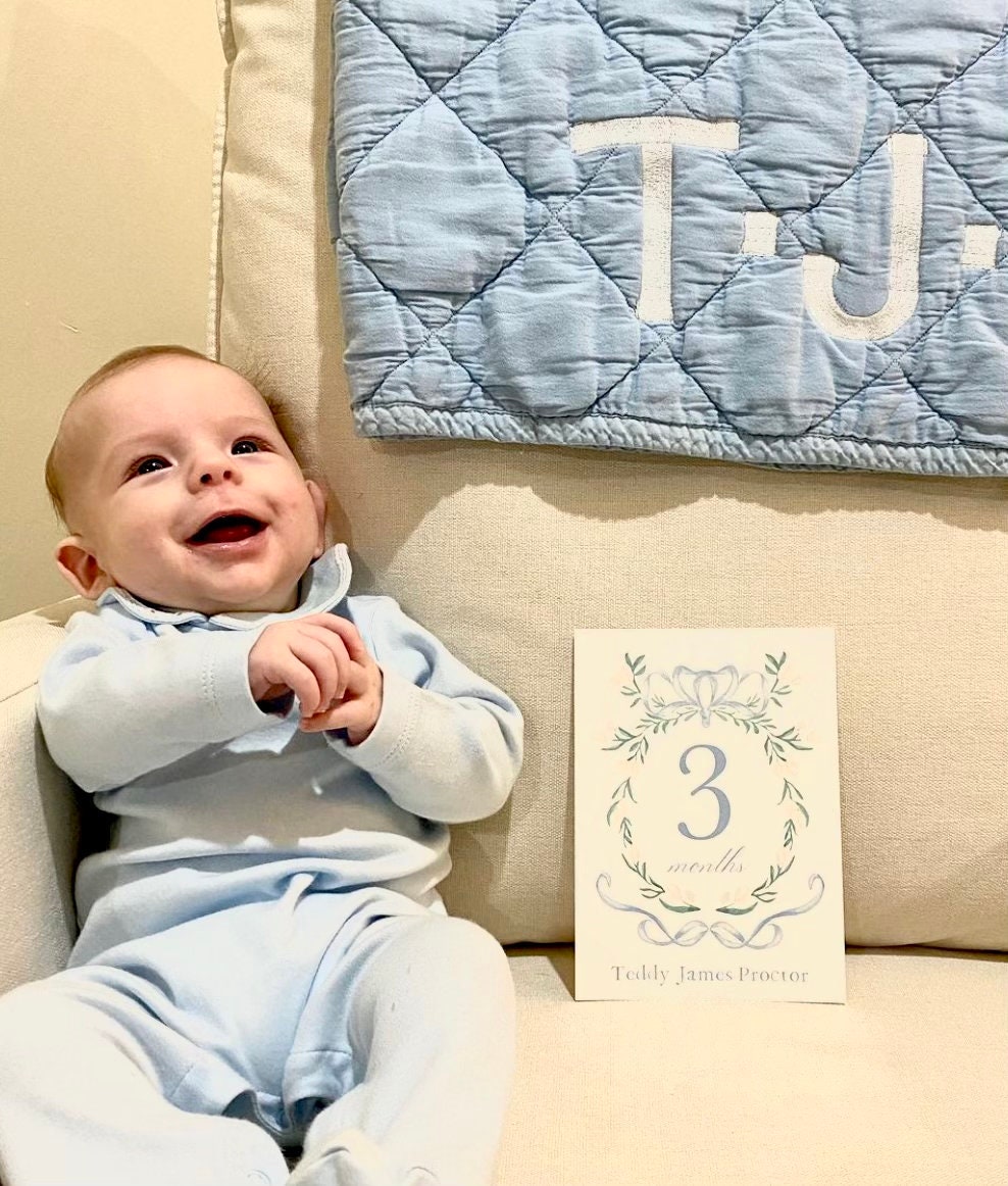 Watercolor Crest Baby Milestone Cards | Blue and White - Etsy