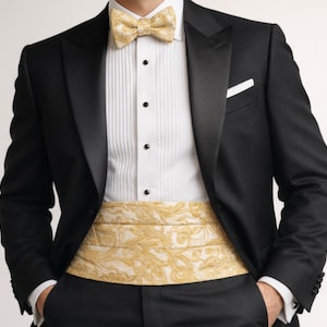 Paisley Cummerbund and Pre Tied Bow Tie in Assorted Colors, Elegant Men's Formal Accessories