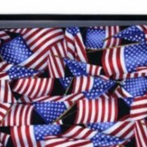 American Flags R Flying Cummerbund and Bow Tie Set