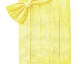 Lemon Yellow Tuxedo Cummerbund and Bow Tie Sets in Assorted Patterns