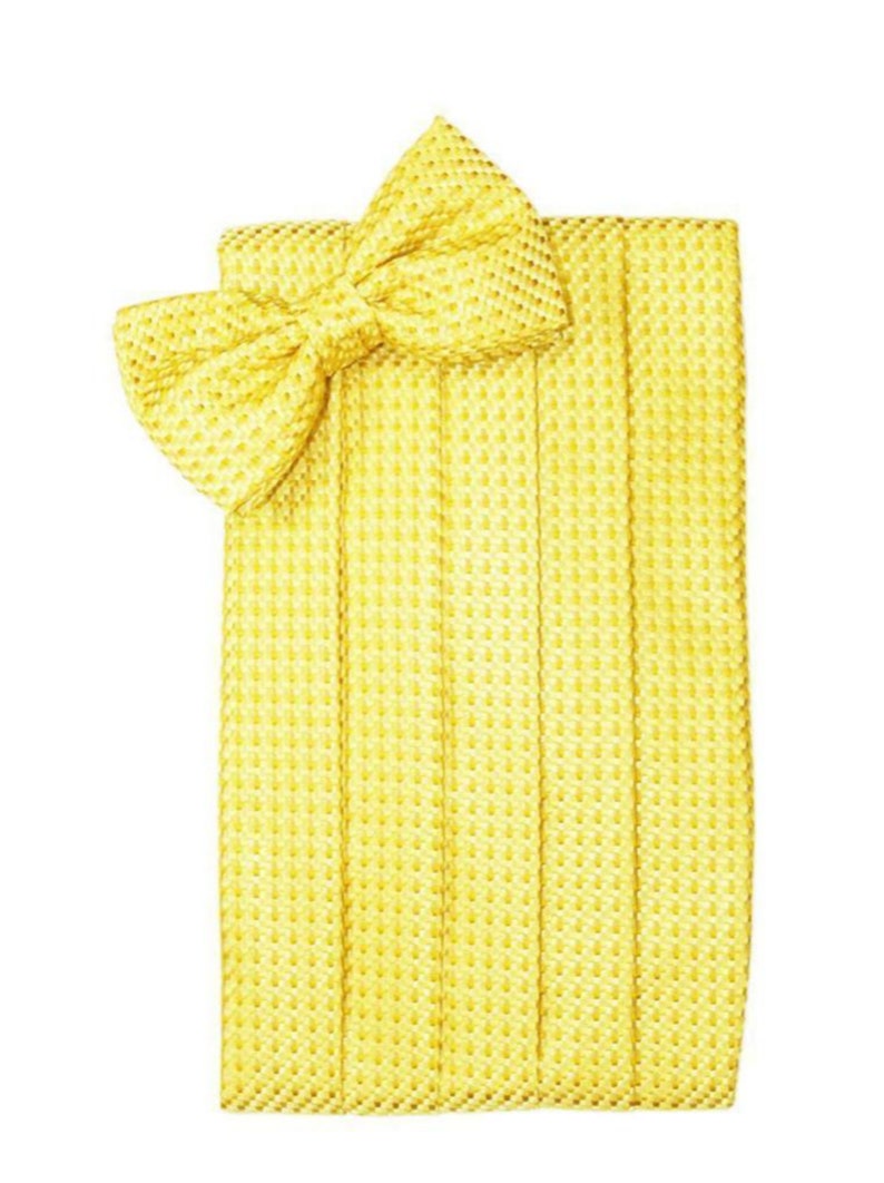 Venice Lemon Yellow Tuxedo Cummerbund and Bow Tie Set
