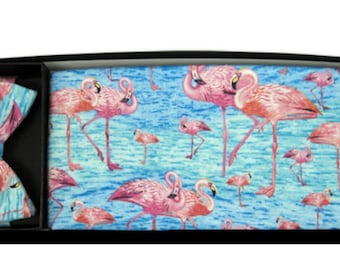 Flamingo Pool Tuxedo Cummerbund and Bow Tie Set