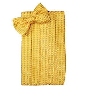 Venice Gold Tuxedo Cummerbund and Bow Tie Set