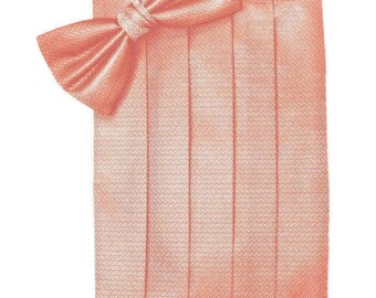 Coral Tuxedo Cummerbund and Bow Tie Sets in Assorted Patterns