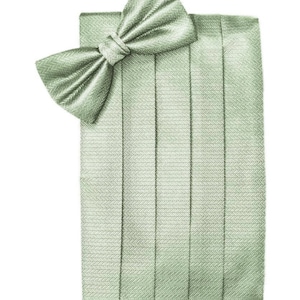 May include: A sage green bow tie with a herringbone pattern. The bow tie is pre-tied and comes with a matching cummerbund.
