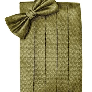 May include: A green herringbone patterned bow tie and matching cummerbund.