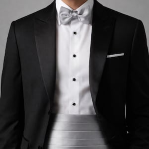 Elegant Silver Tuxedo Cummerbund & Bow Tie Set, Assorted Patterns for Formal Events and Gifts