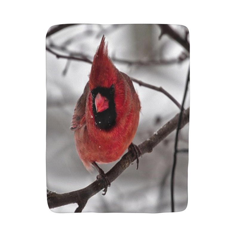 Red Bird Throw Blanket Sherpa Fleece Blanket Red Cardinal Etsy