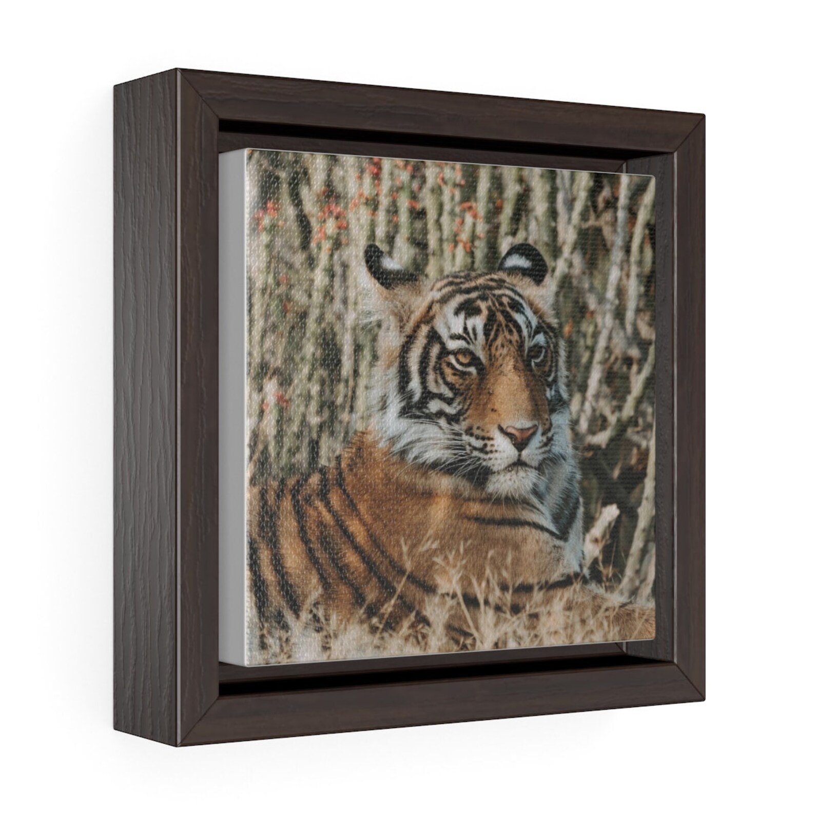 Tiger Home Decor quadrato con cornice Premium Gallery Wrap Etsy