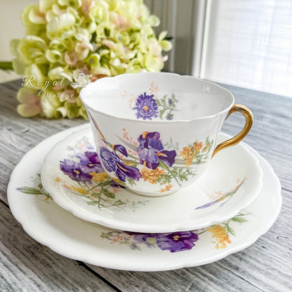 Antique Royal Doulton Burslem Teacup Trio, Purple Irish and Yellow Daisy, England, c.1891