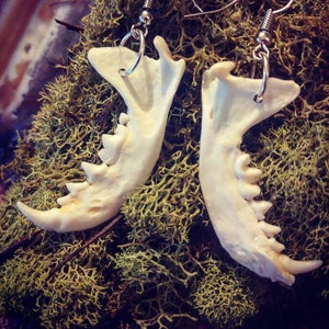 Mink mandible bone earrings (jaw bone earrings)